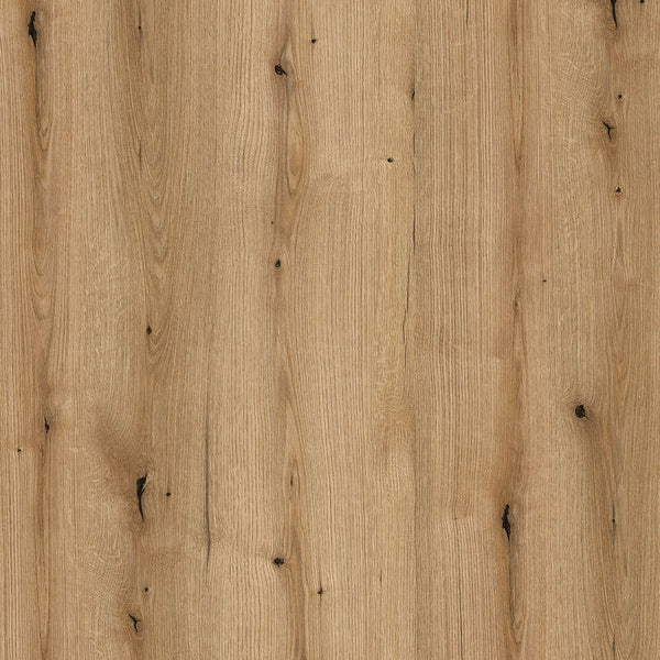 Muestra de Roble con nudo