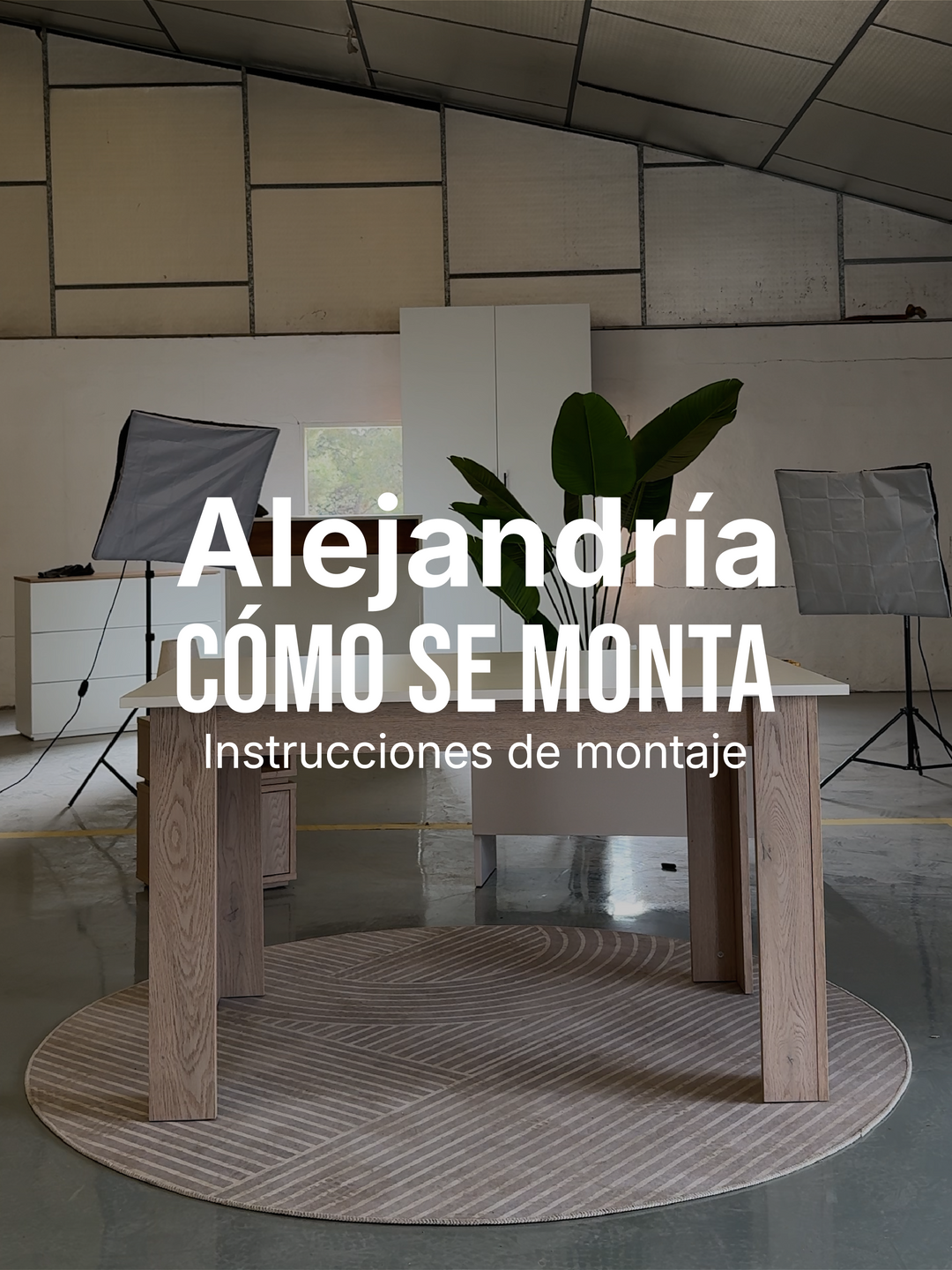 Vídeo montaje Alejandría